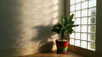 Ample natural light